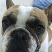 Lilli Rothermel's photo