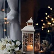 Areej Ashraf's photo