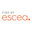 Escea Fireplaces