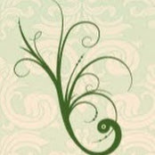 Amy Rice's photo