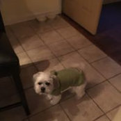 Lisa Miller's photo
