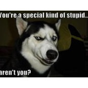 Michael Taylor's photo