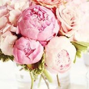 Mei Ying's photo