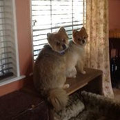 Beverly Evans's photo