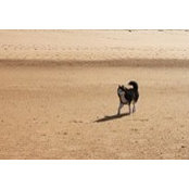 Noemi Hansen's photo