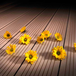 Disegna Decking - Products