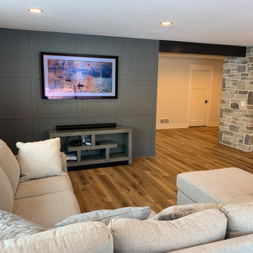 Albrecht Basement Project