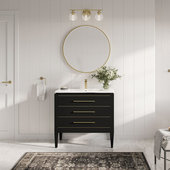 Single Bathroom Vanity Set in Black TN-T580-BK on