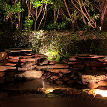 Backyard Water Feature