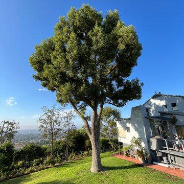 La Habra Heights