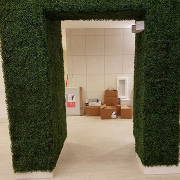 Fake Ivy Projects