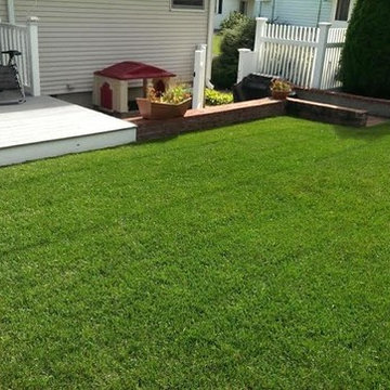 Our Work