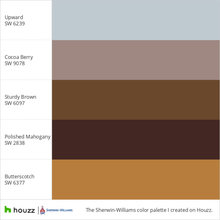 Paint Colors