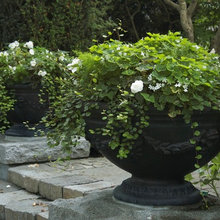 planters