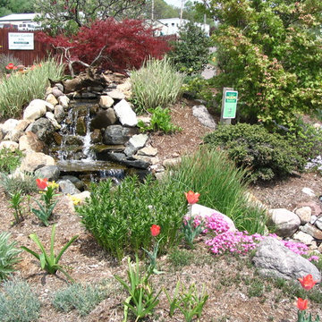 TJB-INC Display Gardens & Ponds - 12 Crestway Hamden