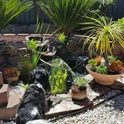 Photo de David Bridel