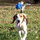 Angel Pope