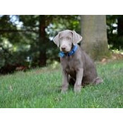 Thomas Kaufmann's photo
