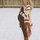 Lindsay Whitlock-Scheele