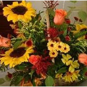 Glenda Tapper's photo