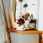 Jen Stockman's photo