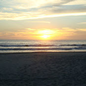 Jackie Recchia's photo