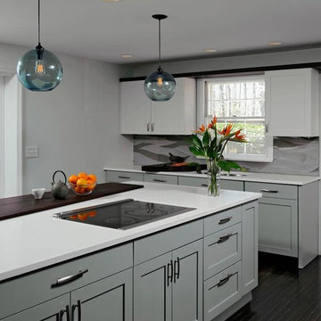Contemporary Kitchen Cabinets Design Remodel
