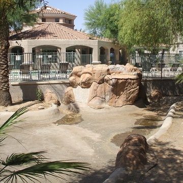Regents at Scottsdale Ecosystem Disappearing Streams in Scottsdale, AZ