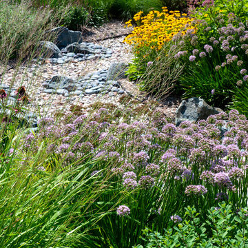 Contemporary New Home Landscape - Caledonia