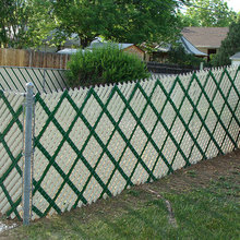 fence