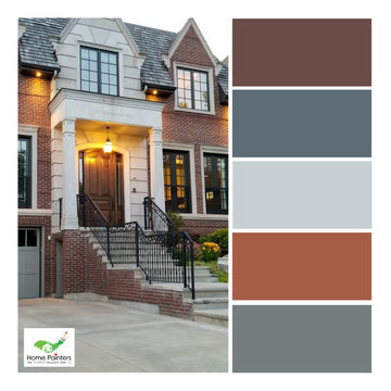 Variety of Color Palettes