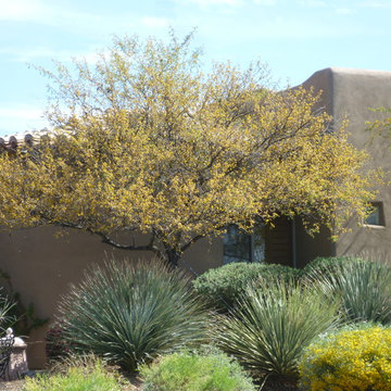 Private Residence 25