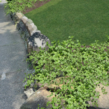 Creating Curb Appeal