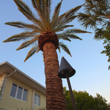Sombrero Sanctuary