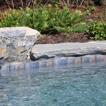 Freeform Style Pool with Flush Spa