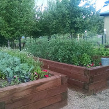 Vashon Garden