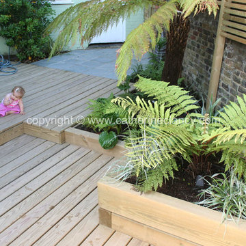 New Zealand Garden