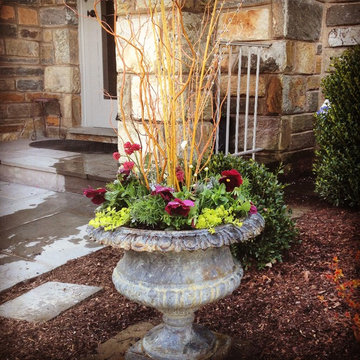 Spring Container Garden Design