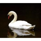 Geoff Harrington's photo