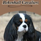 Frankie Hall's photo