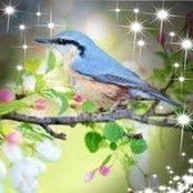 Morgan Davis's photo