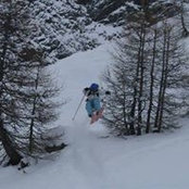 Tom Jefferies's photo