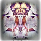 Derrick Williams's photo