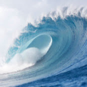 Dylan Tawes's photo
