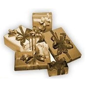Giftquest Giftquestnj's photo