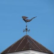 Dina Lyons's photo