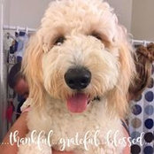 Stacey Ledvina's photo