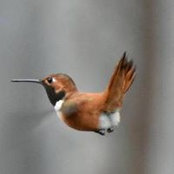 Kathy Bergeron's photo