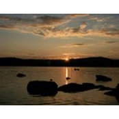 Barbara Follett's photo