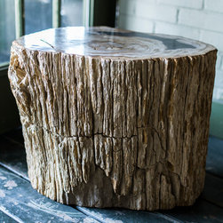 Petrified Wood Online Store - Furniture